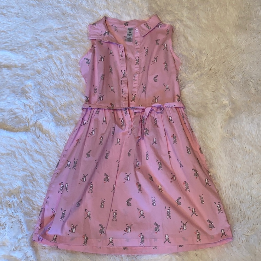 Carter’s Size 14 Button Down Dress with Belt